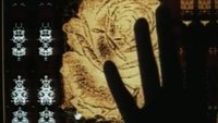 Backdrop 14