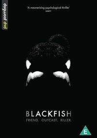Poster 3