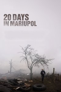 Poster 14