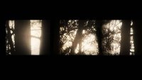 Backdrop 0