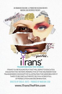 Poster for iTrans*