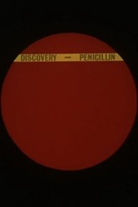 The Discovery of Penicillin