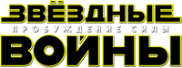 Logo 31
