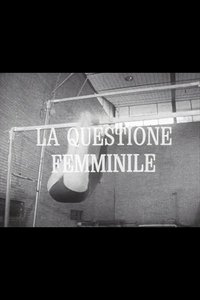 Poster for La questione femminile