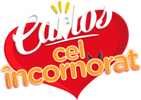 Logo 1
