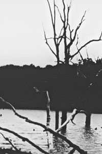 Poster for Hidden Objects 2