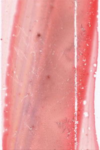 Poster for having-seen-snake