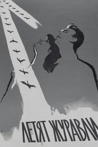 Poster 54