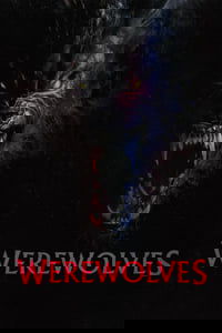 Poster 17