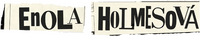 Logo 9