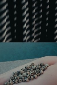 Poster for In Its Form Asleep