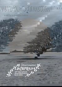 Invisible Countdown