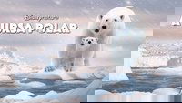Backdrop 5