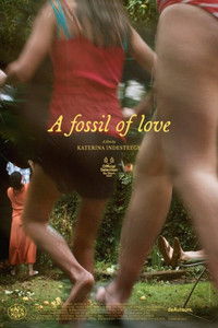 Poster for A Fossil of Love