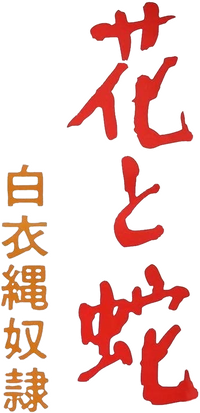 Logo 0