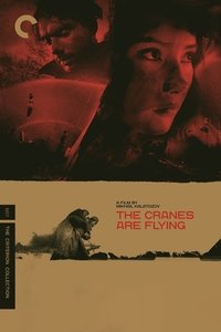 Poster 34