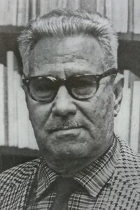 Profile of Luis Palés Matos