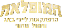 Logo 17