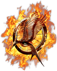 Logo 35