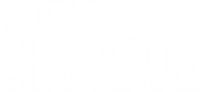 Logo 17