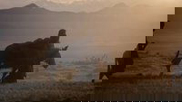 Backdrop 0