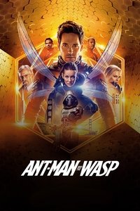 Poster 212