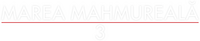 Logo 7