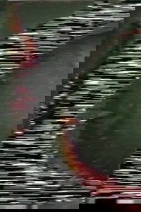 Soundgated Images