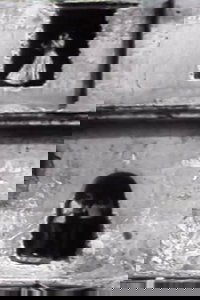 To Tell Only The Truth