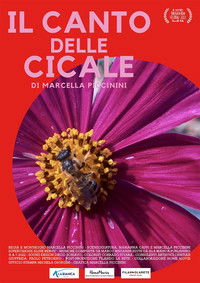 Poster for IL CANTO DELLE CICALE
