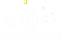 Logo 0