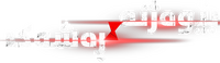 Logo 21