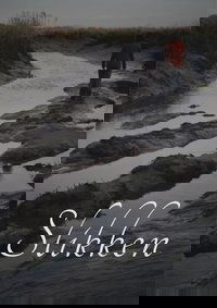 Slikken