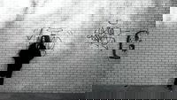Backdrop 1