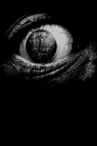 Poster 9