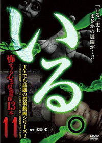 Poster for 「Iru.」~ Kowasugiru Tōkō Eizō 13-hon ~ Vol.11