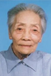 Profile of Lin Yi