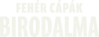Logo 9