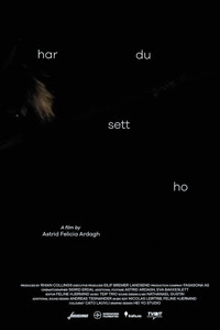 Poster for Have You Seen Her