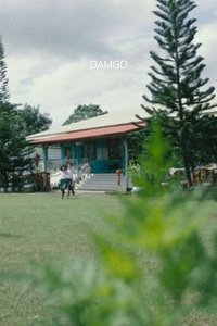 Poster for dream