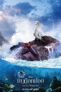 Poster 389