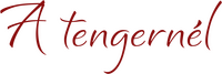 Logo 3