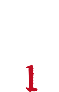 Logo 25