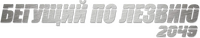 Logo 30
