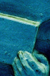 Poster for Excuse Me, Miss!