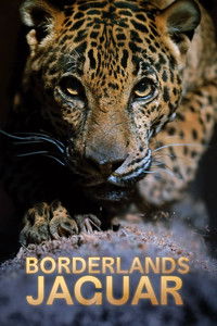 Poster for Borderlands Jaguar
