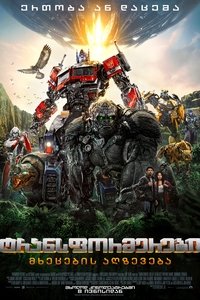Poster 256