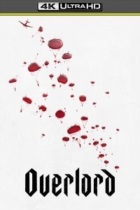 Poster 96