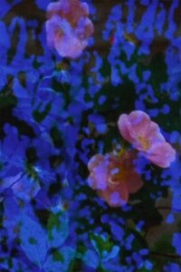 Poster for Events in the Tunnel