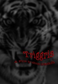 Poster 4